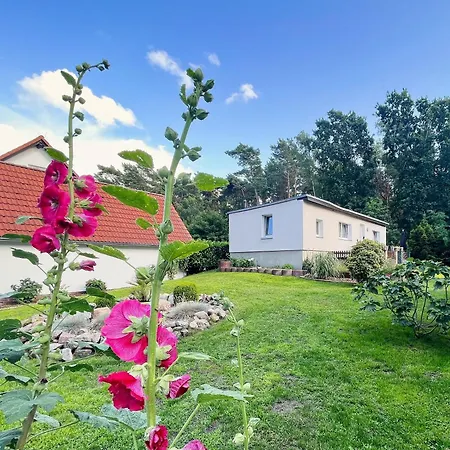 Nyaraló Ferienhus Baabe - Ferienhaus Mit Gratis Nutzung Vom Ahoi Erlebnisbad Und Sauna In Sellin Baabe